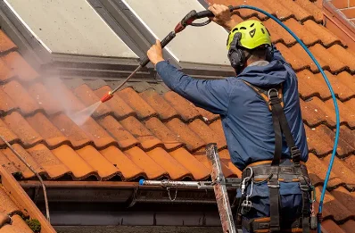 Démoussage et hydrofuge de toiture à Moyemont